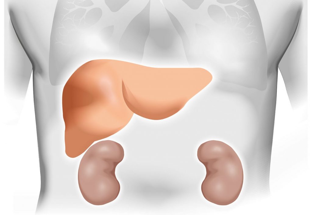 Drug Safety Biomarkers